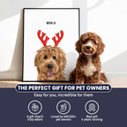 Christmas Pet Portrait - Modern Pet Portrait