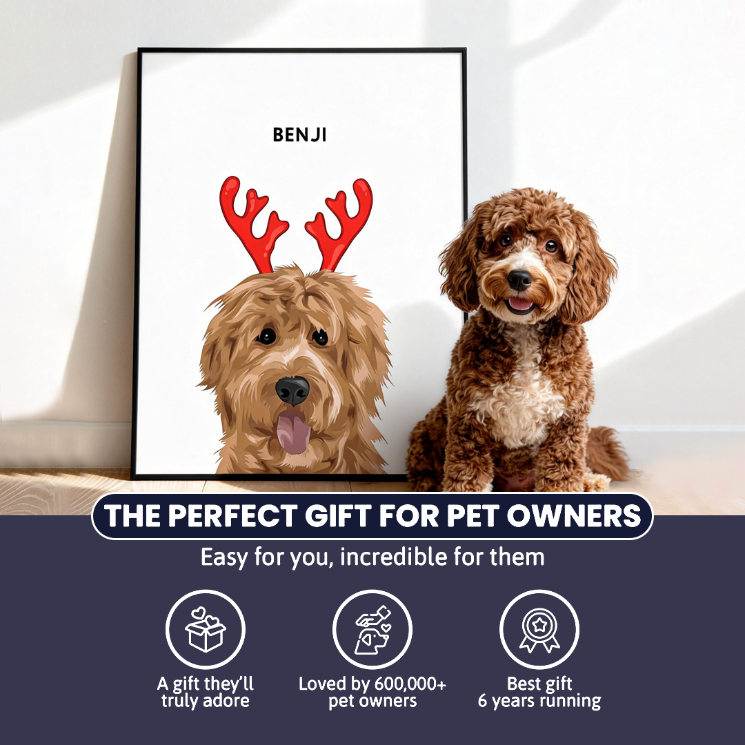 Christmas Pet Portrait - Modern Pet Portrait