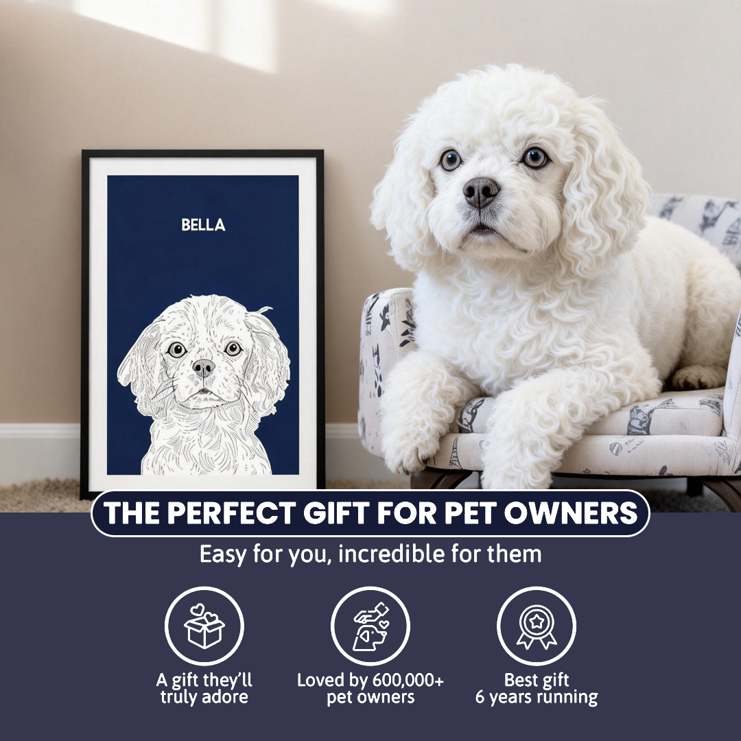 Illustrated Pet Portrait - Modern Pet Portrait