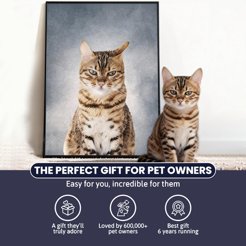 College Yearbook Style -Modern Pet Portrait