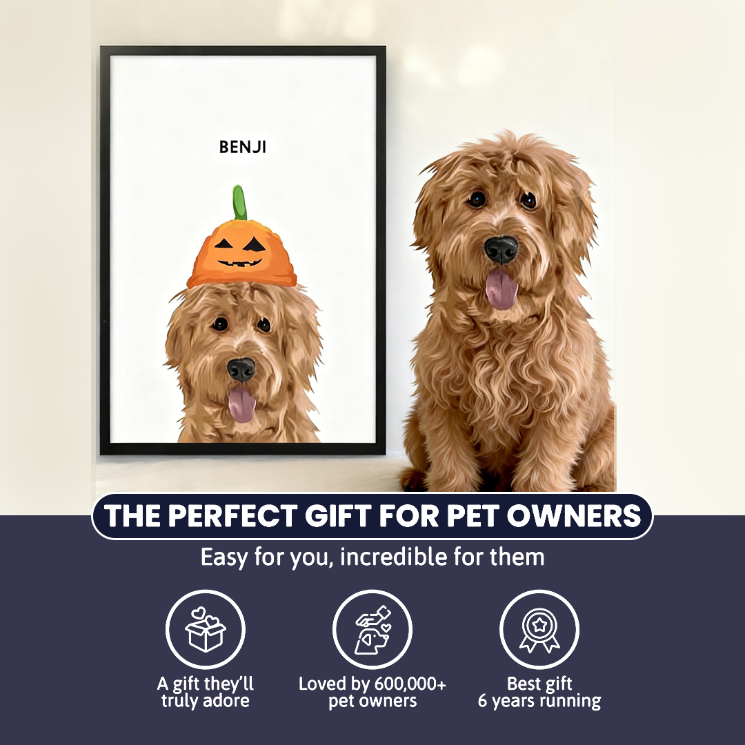 Halloween Pet Portrait - Modern Pet Portrait