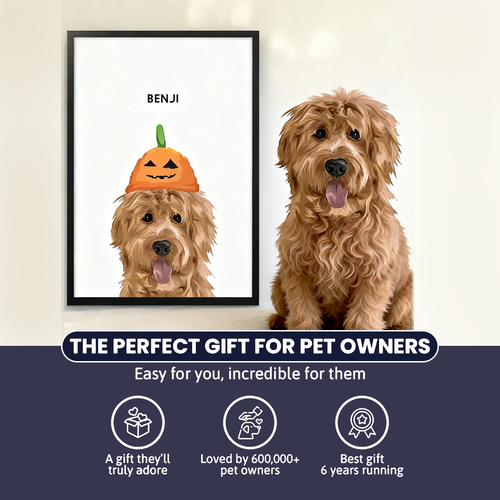 Halloween Pet Portrait - Modern Pet Portrait