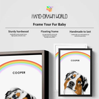 Handsome pets-Modern Pet Portrait