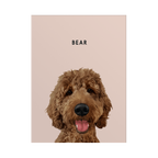 Custom One Pet Portrait -Modern Pet Portrait