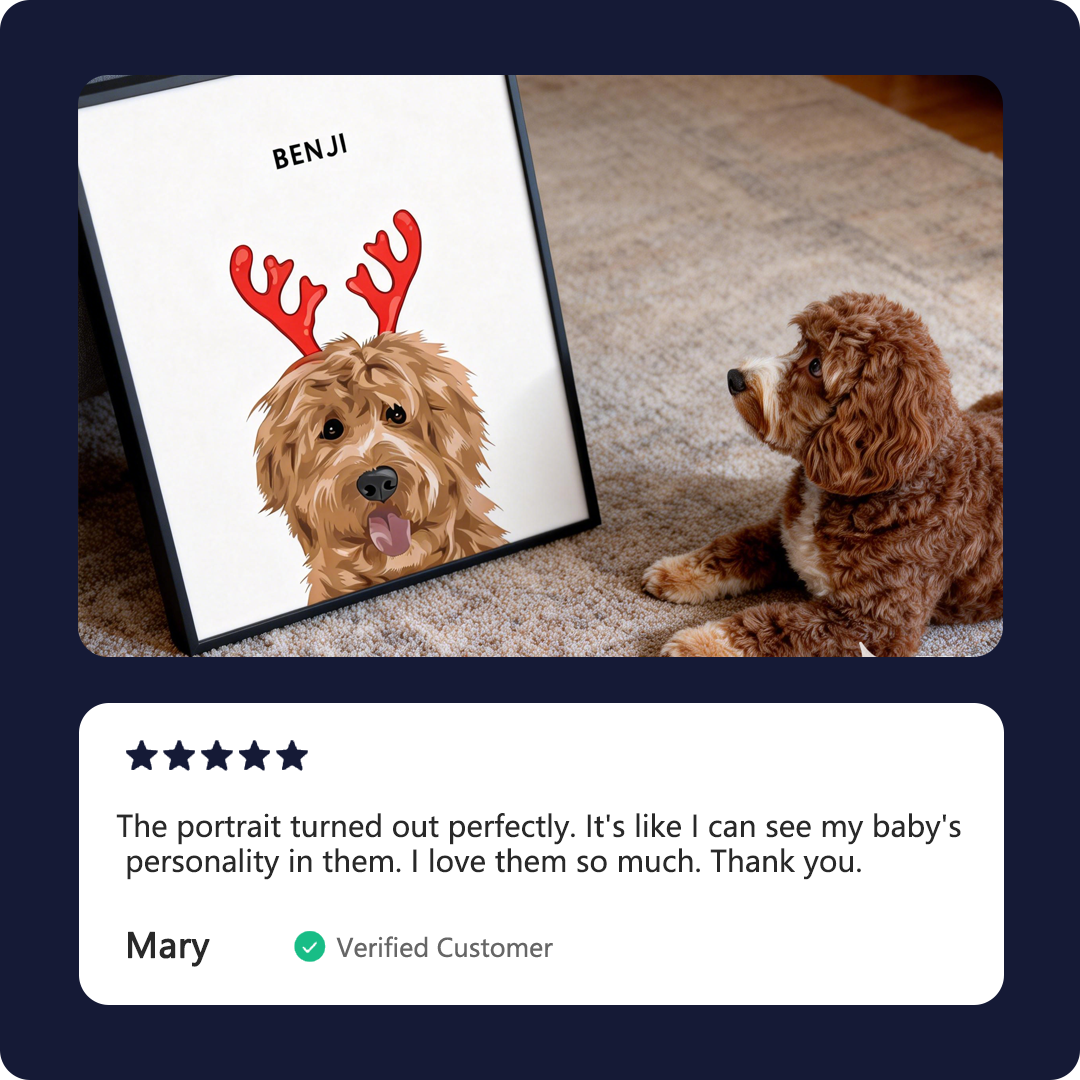 Christmas Pet Portrait - Modern Pet Portrait