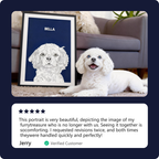 Illustrated Pet Portrait - Modern Pet Portrait