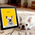 Humane Society International -Modern Pet Portrait