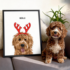 Christmas Pet Portrait - Modern Pet Portrait