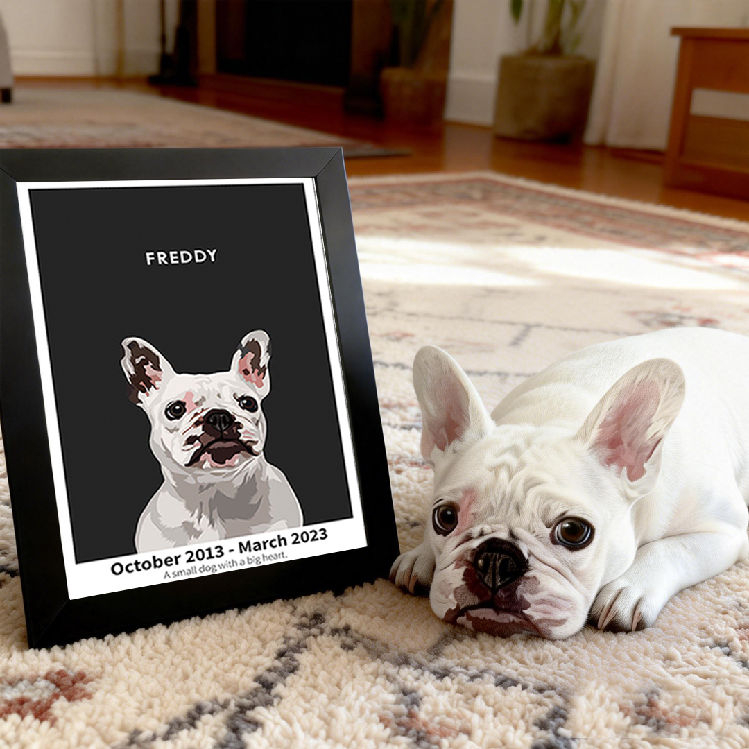 Humane Society International -Modern Pet Portrait