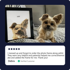 Handsome pets-Modern Pet Portrait