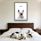 Humane Society International -Modern Pet Portrait