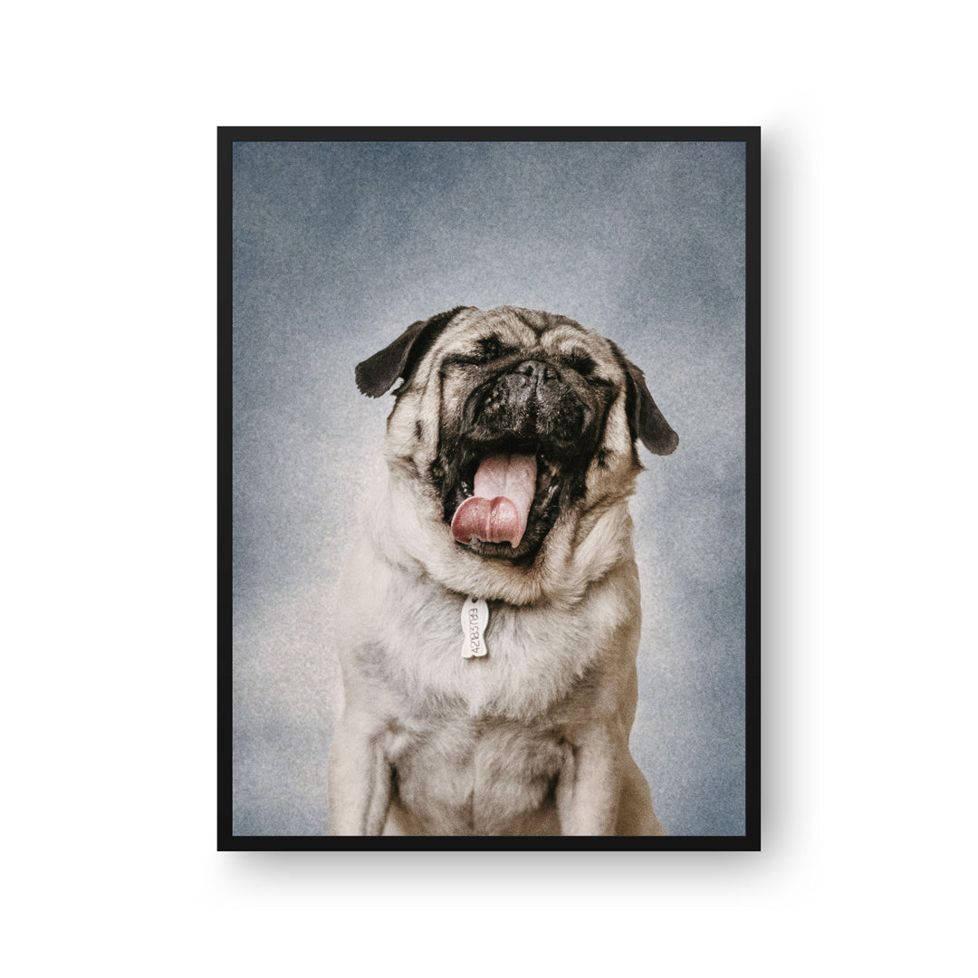 College Yearbook Style -Modern Pet Portrait