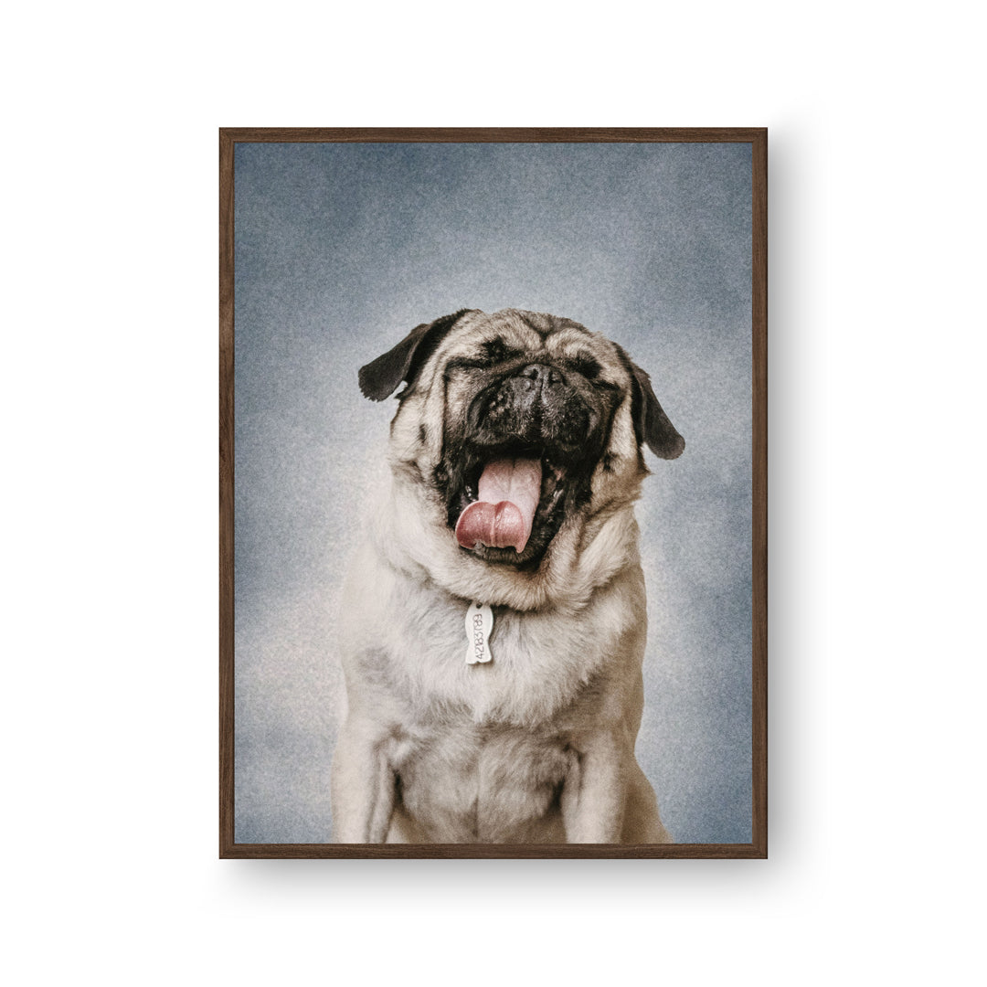 College Yearbook Style -Modern Pet Portrait