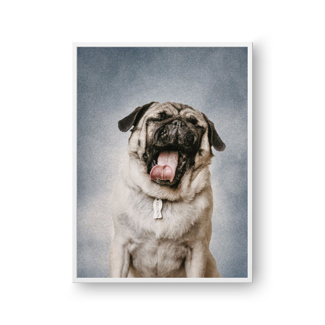 College Yearbook Style -Modern Pet Portrait