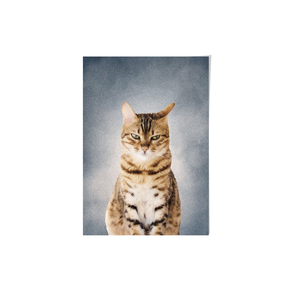 College Yearbook Style -Modern Pet Portrait