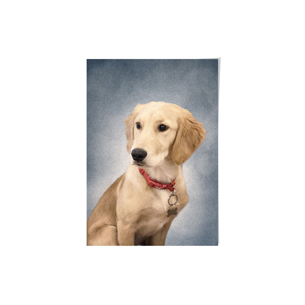 College Yearbook Style -Modern Pet Portrait