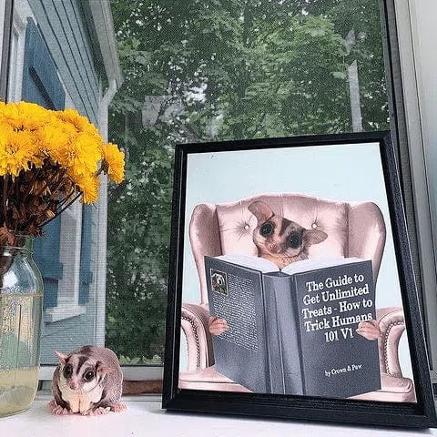 Pet Reading a Book-Custom Pet Poster