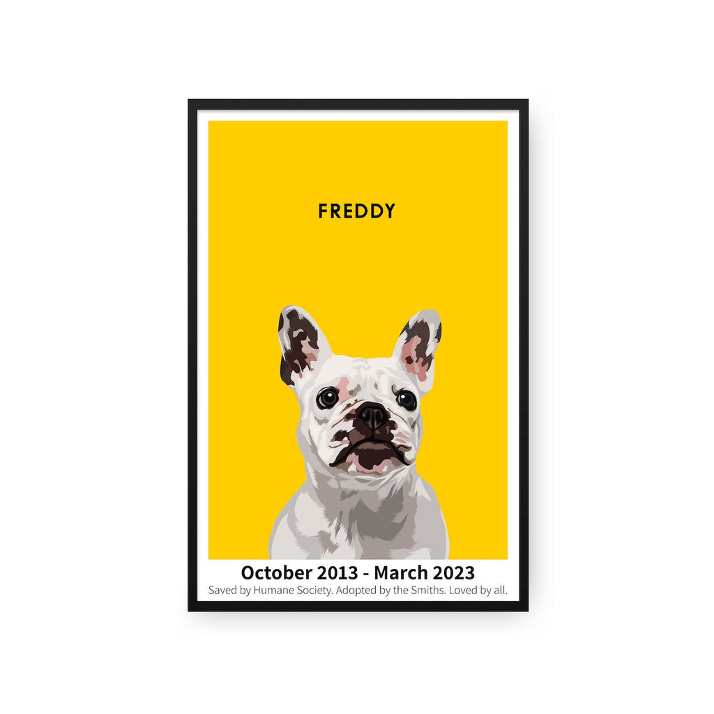 Humane Society International -Modern Pet Portrait