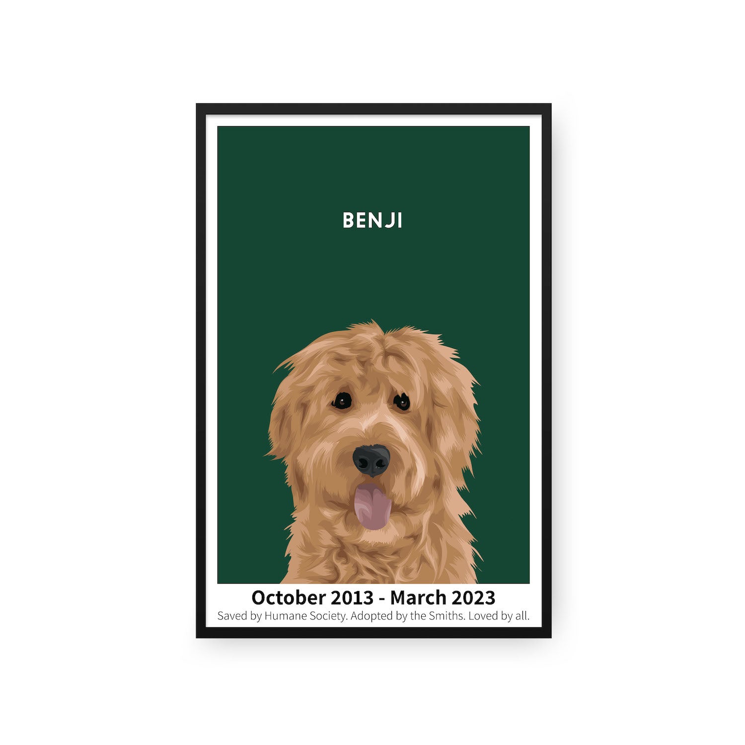 Humane Society International -Modern Pet Portrait