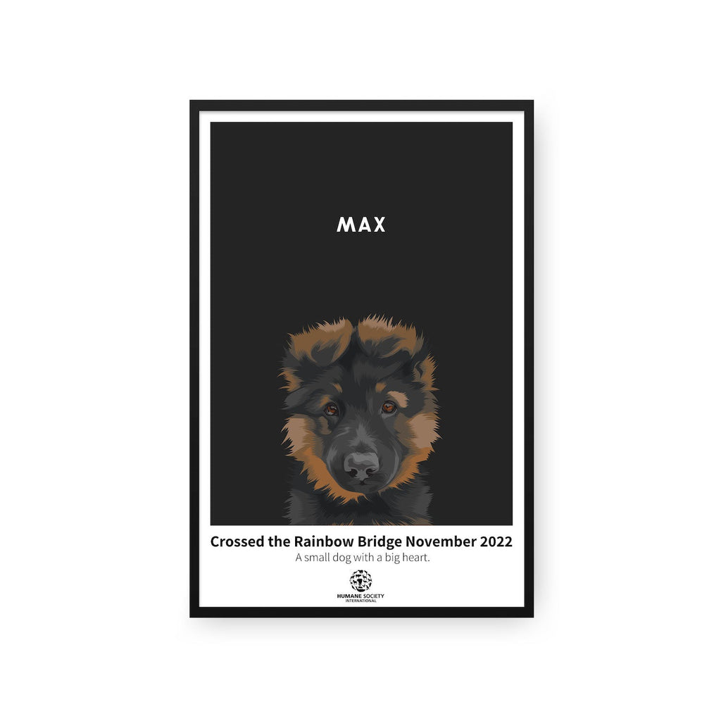 Humane Society International -Modern Pet Portrait