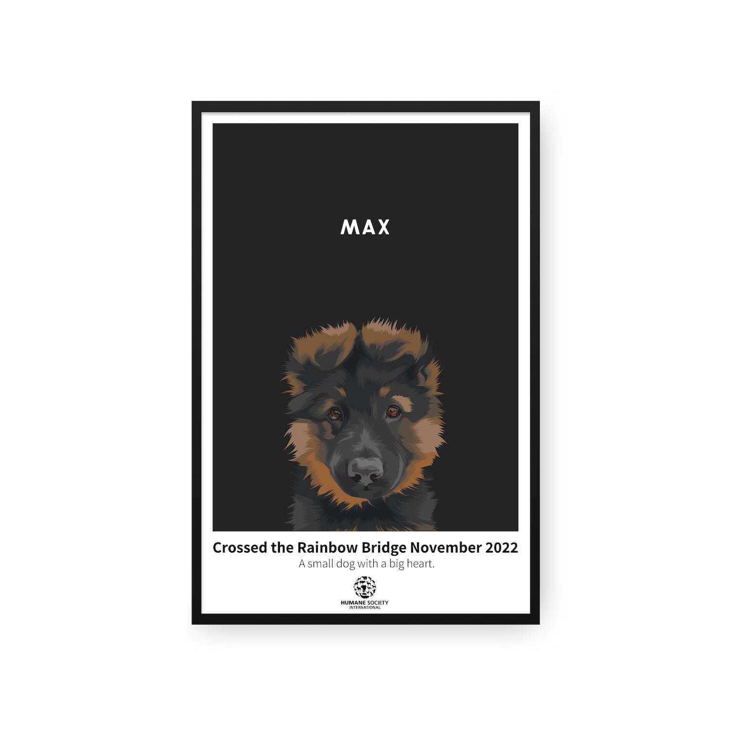 Humane Society International -Modern Pet Portrait