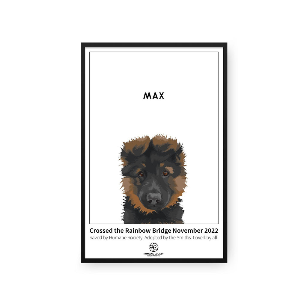 Humane Society International -Modern Pet Portrait