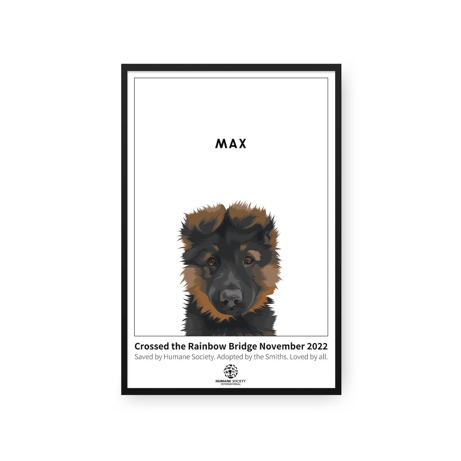 Humane Society International -Modern Pet Portrait