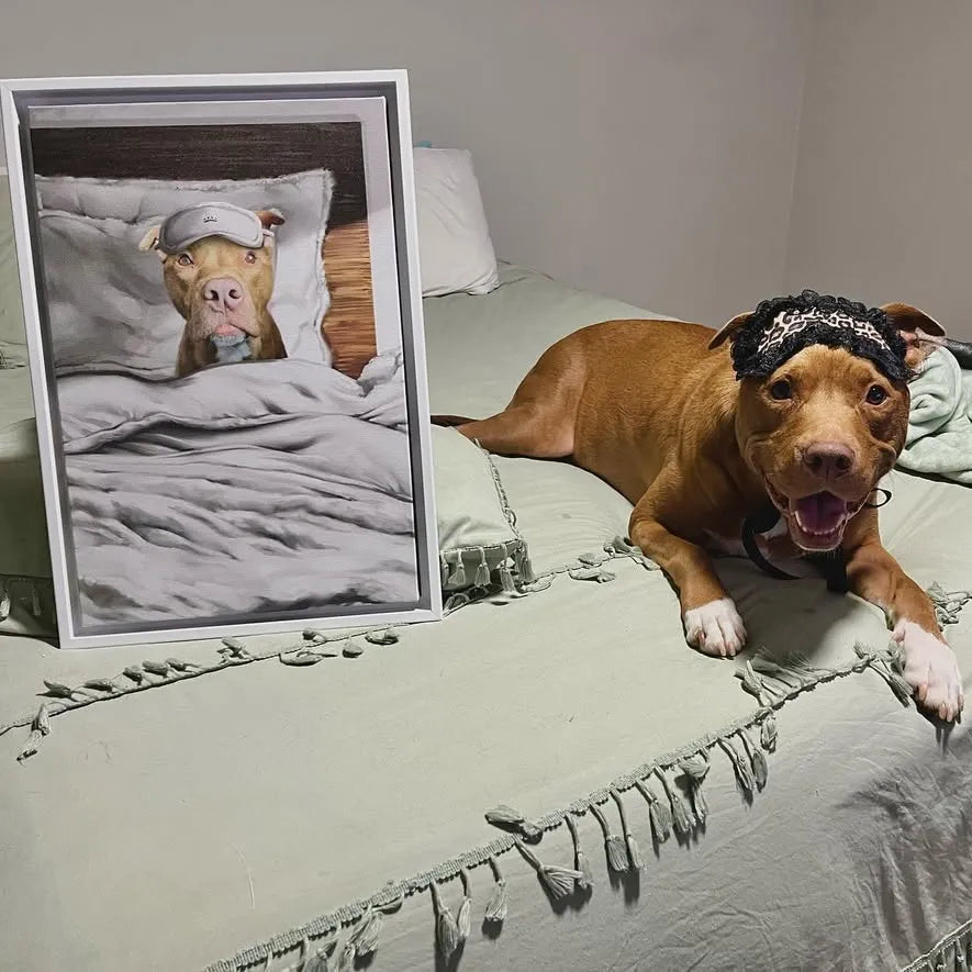 The Sleeping Pet - Custom Pet Poster