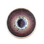 Succulent——TeaCup