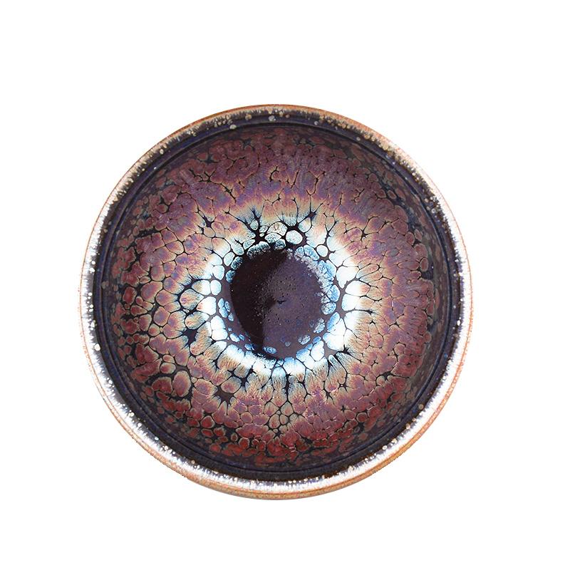 Succulent——TeaCup