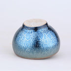 Jellyfish——TeaCup