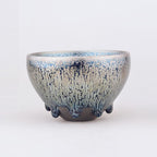 Arctic——TeaCup