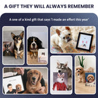 Handsome pets-Modern Pet Portrait