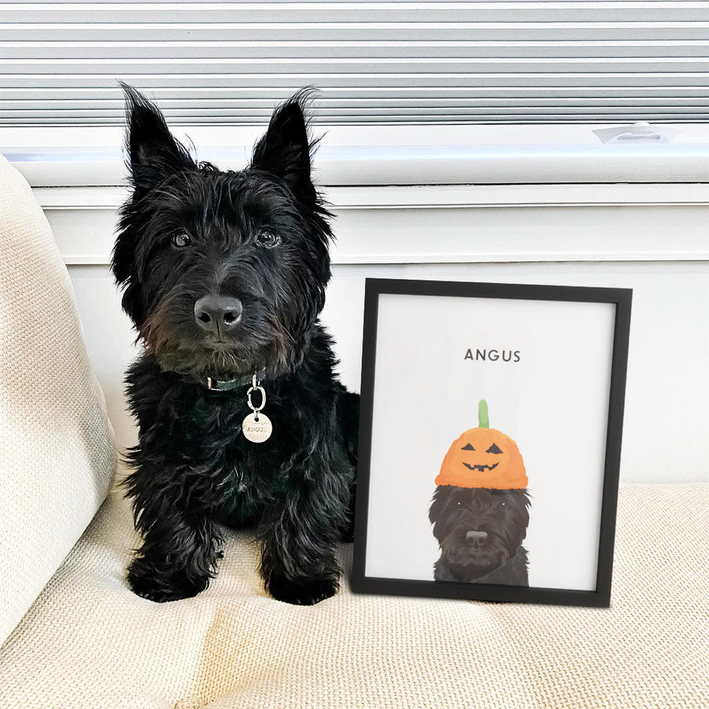 Halloween Pet Portrait - Modern Pet Portrait