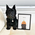 Halloween Pet Portrait - Modern Pet Portrait
