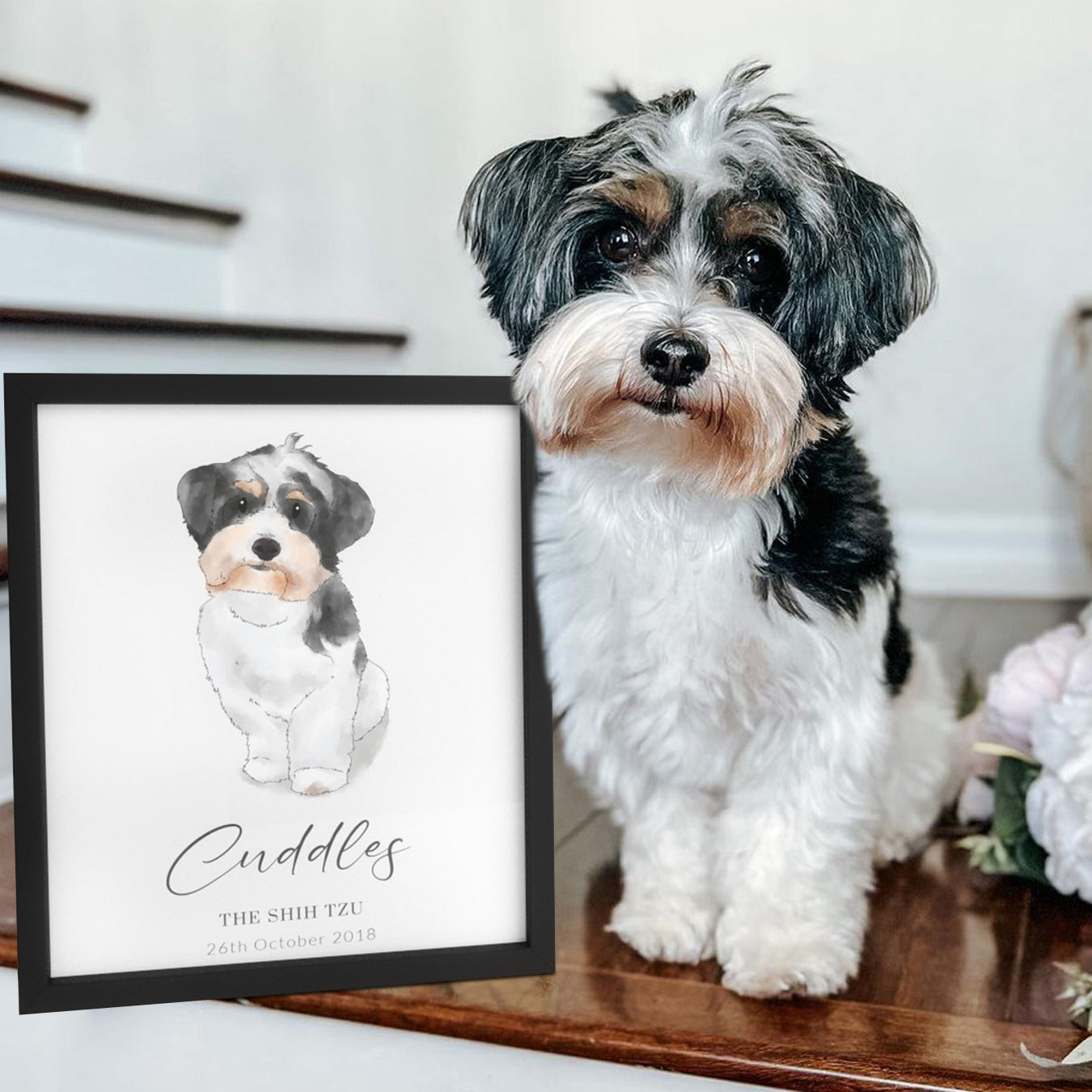 Hand Drawn Pet Portrait - Modern Pet Portrait
