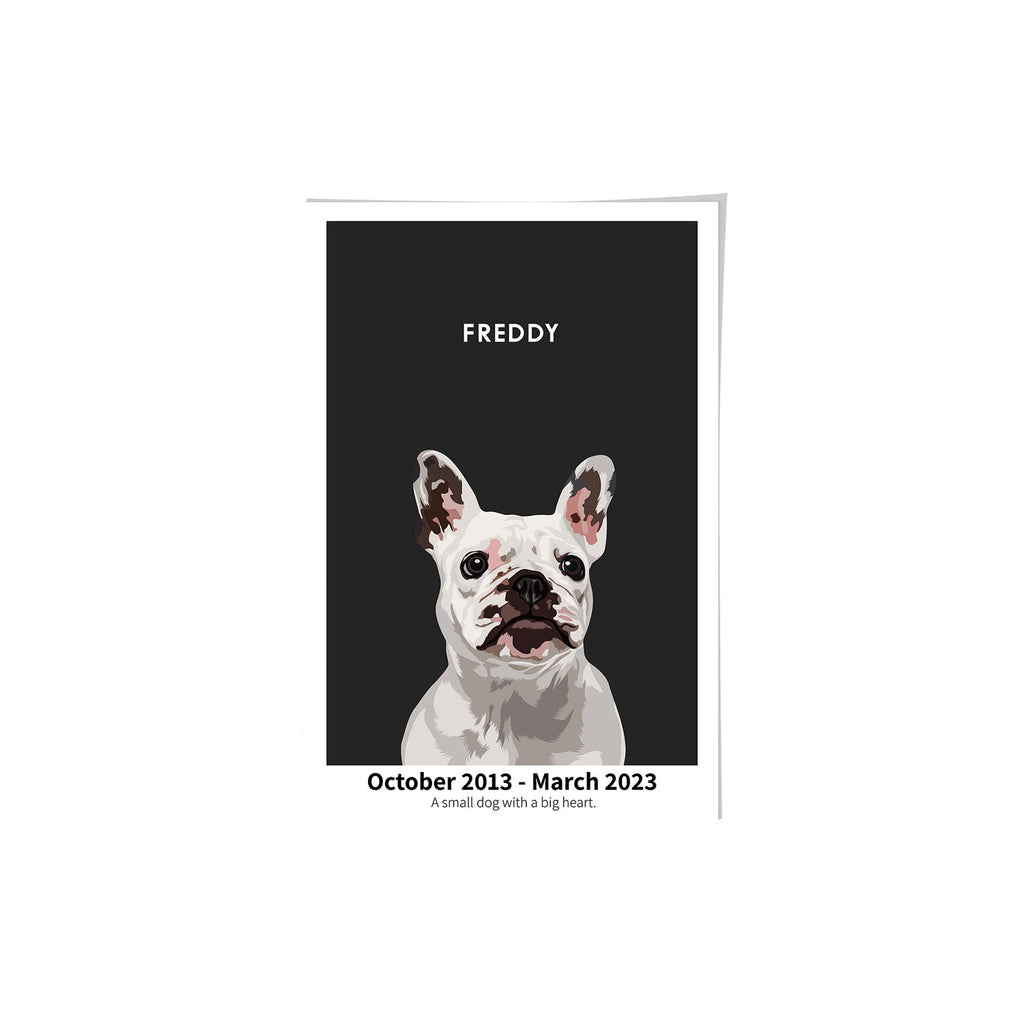 Humane Society International -Modern Pet Portrait