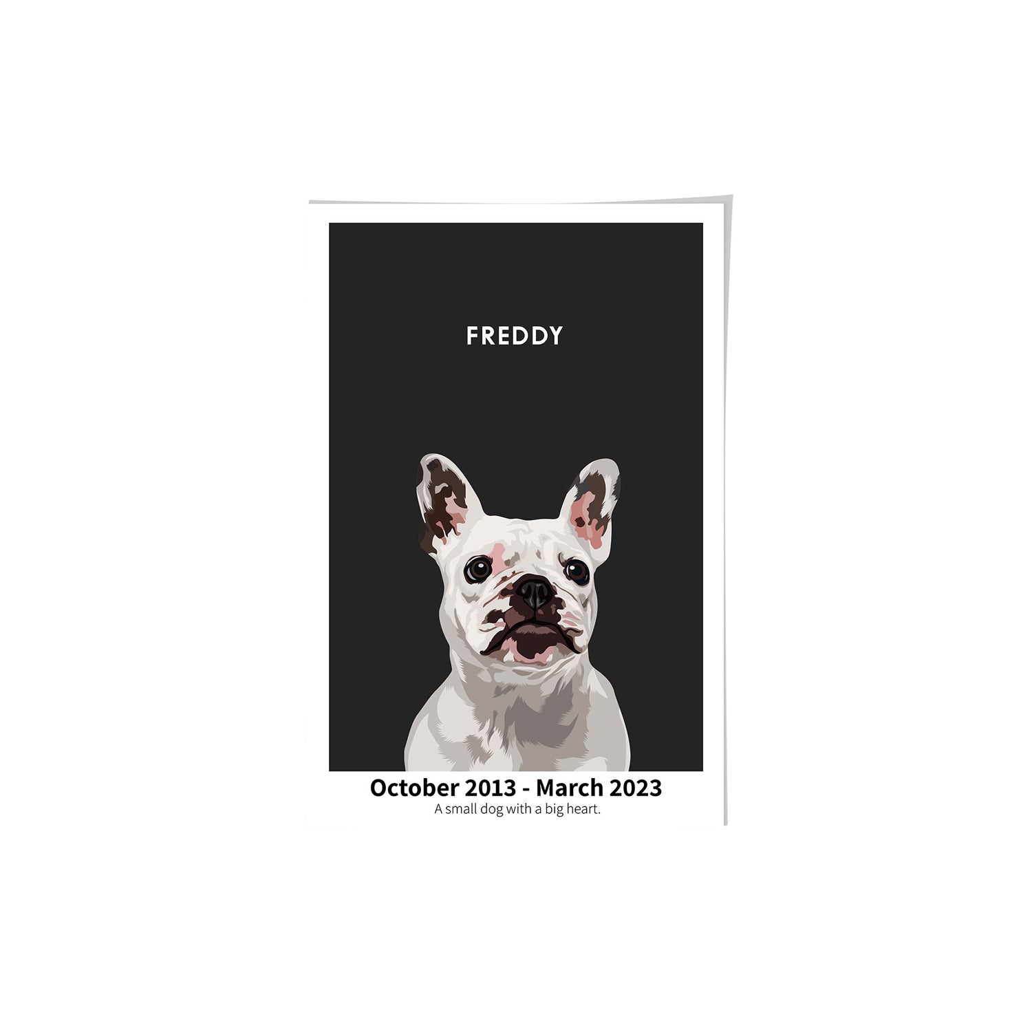 Humane Society International -Modern Pet Portrait