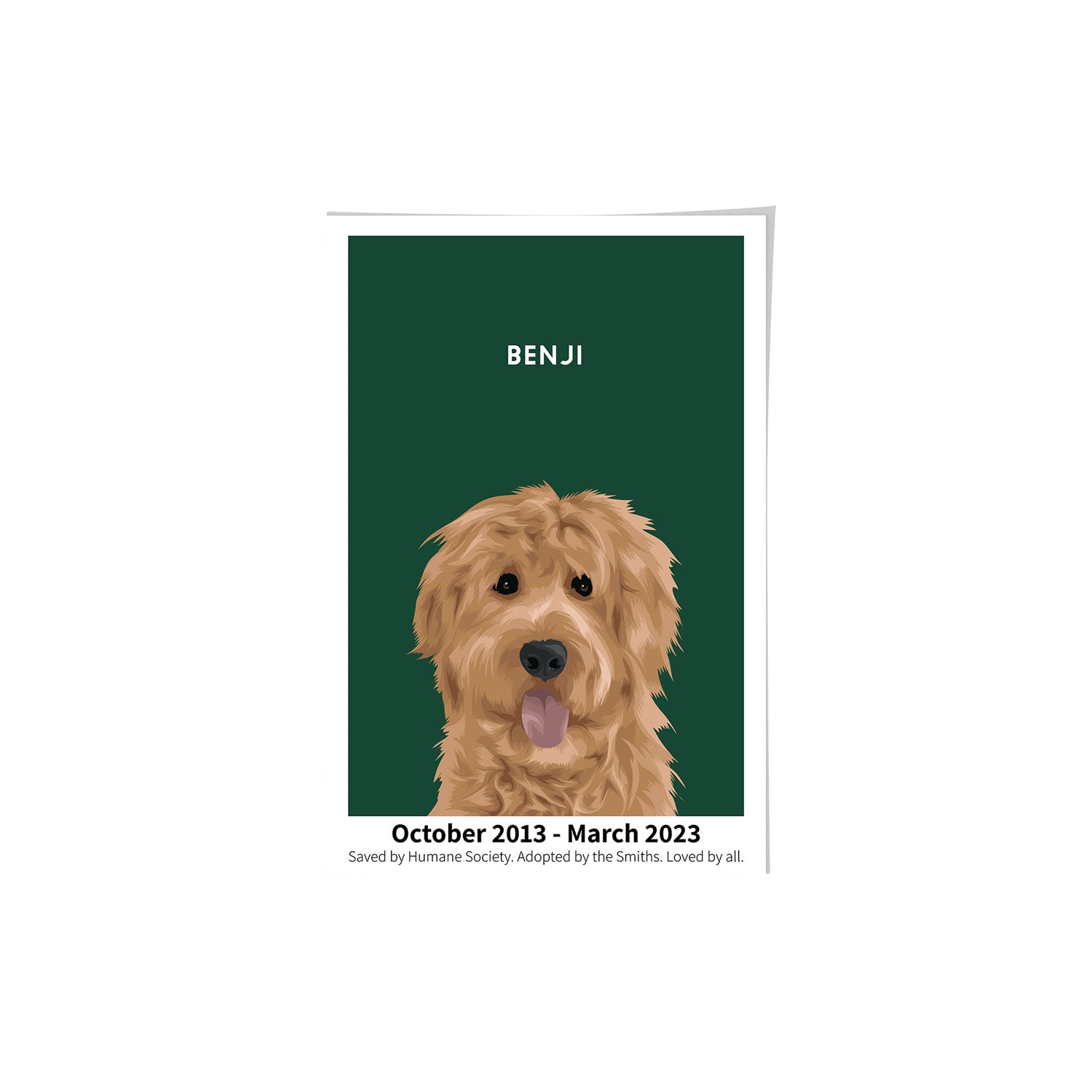 Humane Society International -Modern Pet Portrait