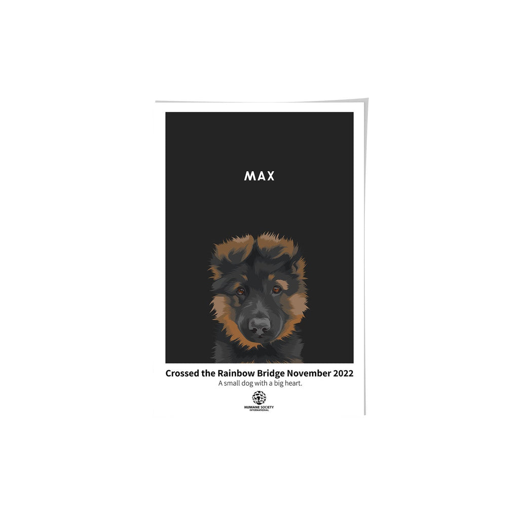 Humane Society International -Modern Pet Portrait