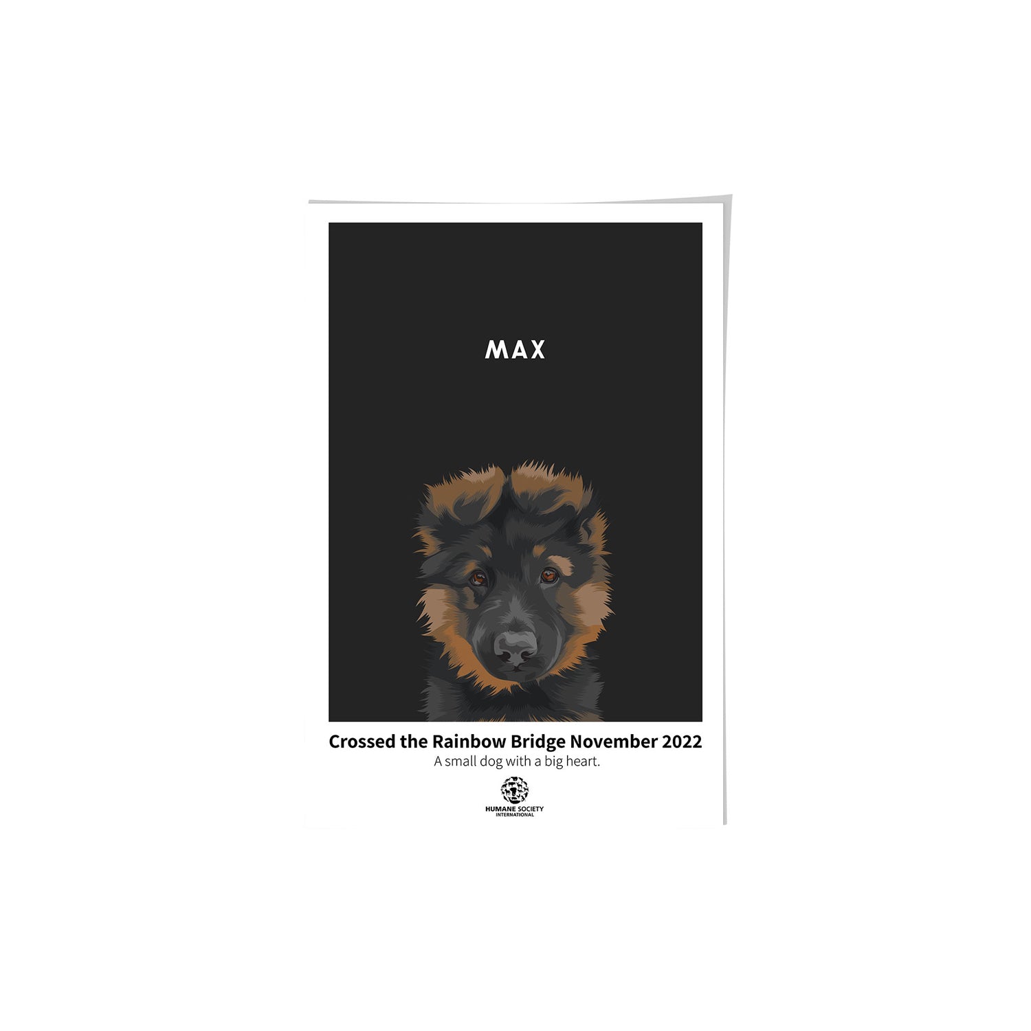 Humane Society International -Modern Pet Portrait