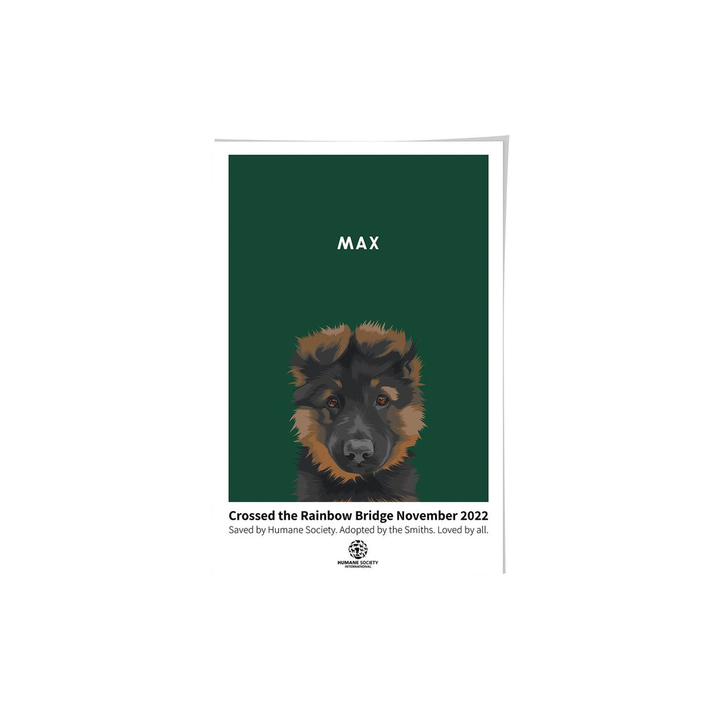 Humane Society International -Modern Pet Portrait