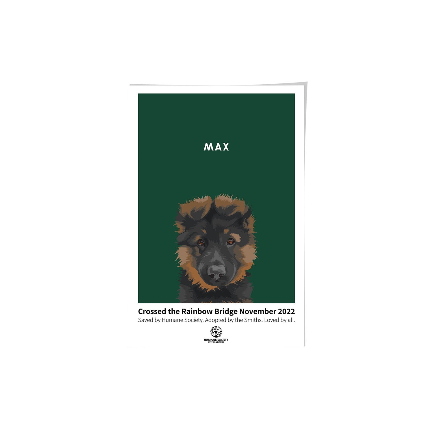 Humane Society International -Modern Pet Portrait