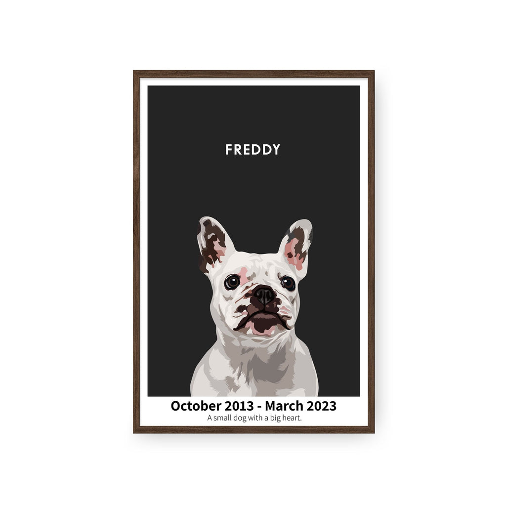 Humane Society International -Modern Pet Portrait