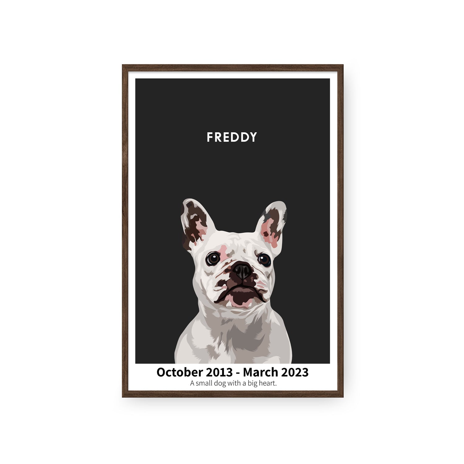 Humane Society International -Modern Pet Portrait