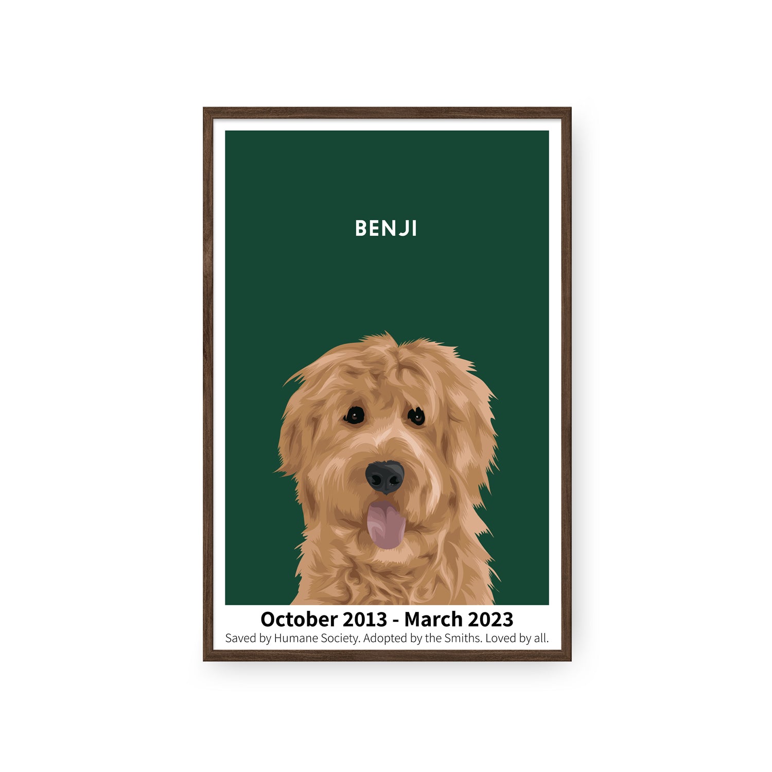 Humane Society International -Modern Pet Portrait