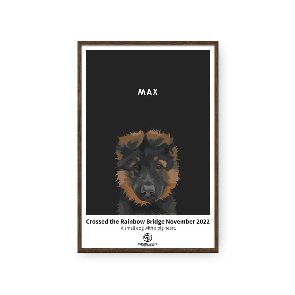 Humane Society International -Modern Pet Portrait