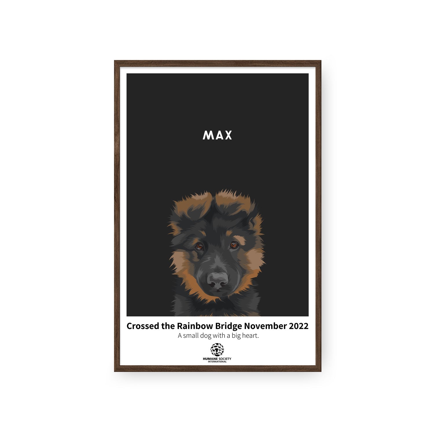 Humane Society International -Modern Pet Portrait