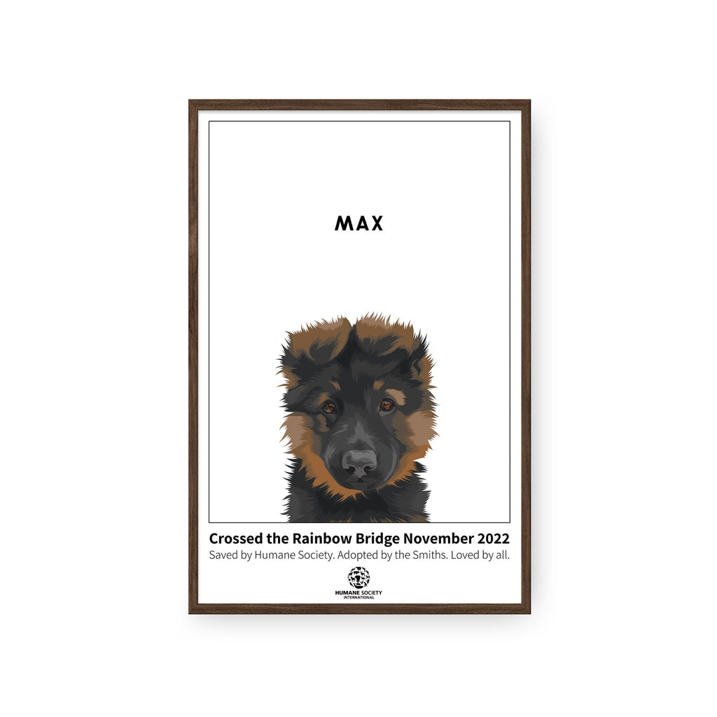 Humane Society International -Modern Pet Portrait