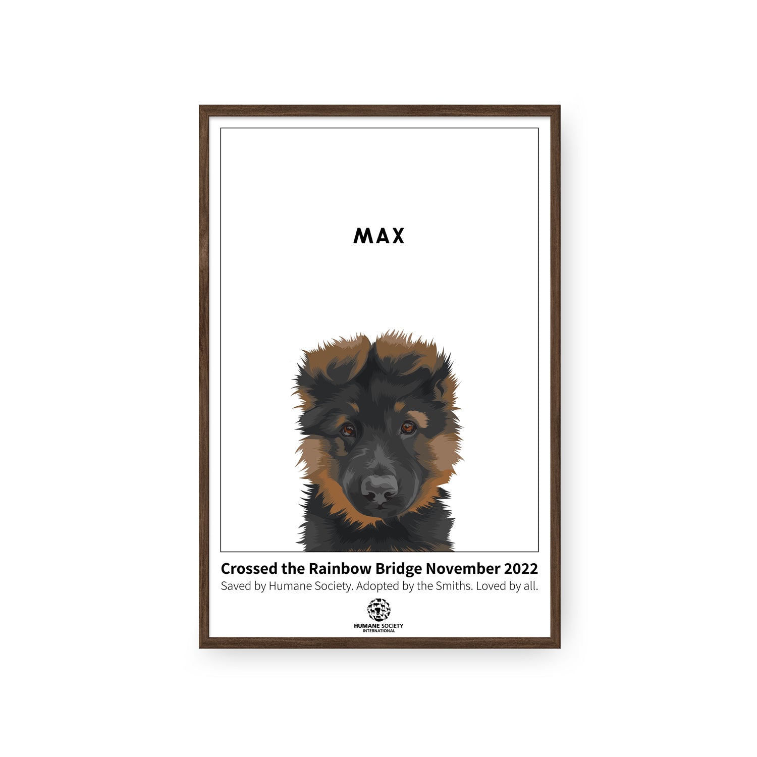 Humane Society International -Modern Pet Portrait